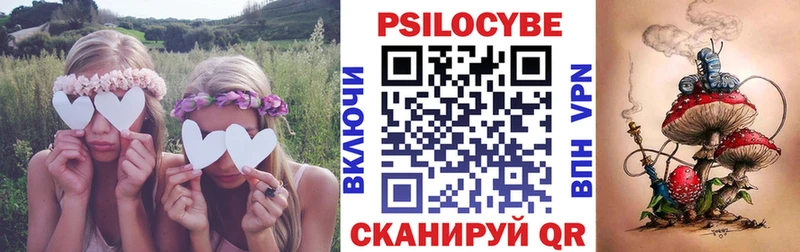Псилоцибиновые грибы прущие грибы Новое Девяткино
